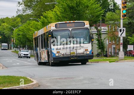 Halifax, Canada - 9 August 2021: Halifax Transit Bus on the street Stock Photo