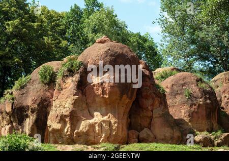 Red rocks in the forest. Bright rock in the canyon. Close-up Stock Photo