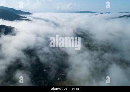 Aerial view drone shot of flowing fog waves on mountain tropical rainforest,Bird eye view image over the clouds Amazing nature background with clouds Stock Photo