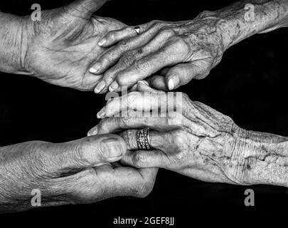 A black and white image of an elderly couple holding hands. The woman is wearing a wedding ring and both appear to have advanced arthritis. Stock Photo