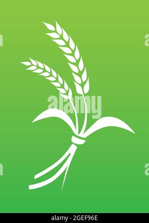 Rice ear realistic vector. Agriculture crops. Rice plant vector illustration. Stock Vector