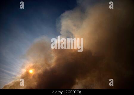 Column of intense smoke caused by a forest fire Stock Photo