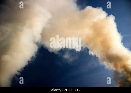 Column of intense smoke caused by a forest fire Stock Photo