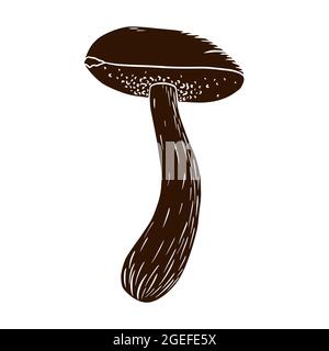 Boletus Silhouette. Hand drawn edible mushroom icon for logo, emblem, prints, stickers, menu design and decoration Stock Vector
