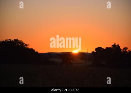 Sunrise, the redness of the sun, the wheat fields, the beautiful view of the sunrise Stock Photo