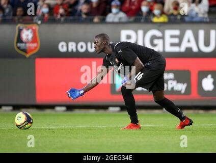 Goalkeeper of Rennes Alfred Gomis during the UEFA Europa Conference League, Play-offs, 1st leg between Stade Rennais and Rosenborg BK on August, 19, 2021 at Roazhon Park in Rennes, France - Photo Jean Catuffe / DPPI Stock Photo