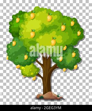 Mango tree on transparent background illustration Stock Vector