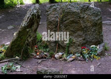 Broceliande Forest, Paimpont Forest: Merlin's Tomb. The fairy Vivien, wishing to keep him with her for eternity, is said to have trapped her master an Stock Photo