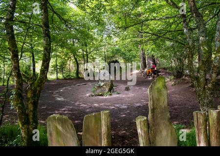 Broceliande Forest, Paimpont Forest: Merlin's Tomb. The fairy Vivien, wishing to keep him with her for eternity, is said to have trapped her master an Stock Photo