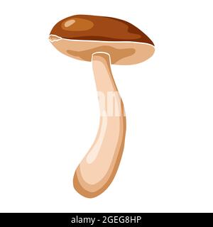 Flat Style Boletus Illustration. Edible mushrooms icon for logo, emblem, prints, stickers, menu design and decoration Stock Vector