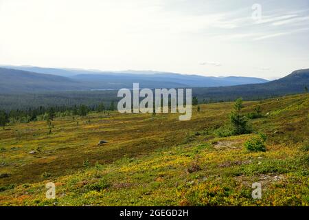 Mountain landscape in summer, Idre - Dalarna Stock Photo