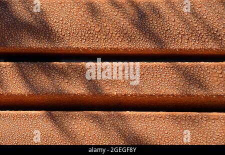 Early morning dew drops on a wooden side fence panel at the National City Marina Waterfront Terrace in San Diego, California Stock Photo