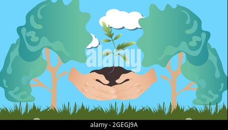 Composition of hands holding seedling plant in forest and blue sky Stock Photo