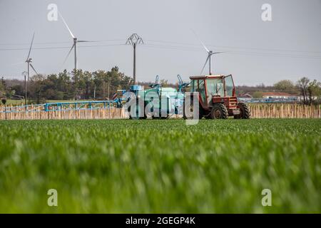 Farmer spraying pesticides on a wheat field in La Brousse (central western France) Stock Photo