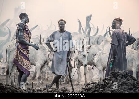 Three tribe members took a moment to chat amongst themselves. TEREKEKA, SOUTH SUDAN: In one image, a man stared into the camera surrounded by cows whi Stock Photo