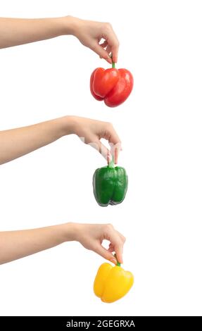 Mix of sweet bell pepper in hand isolated on a white background. Fresh vegetable, healthy food concept Stock Photo