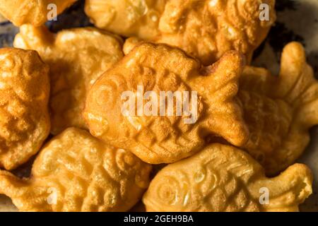 Homemade Fished Shaped Custard Japanese Taiyaki with Filling Stock Photo