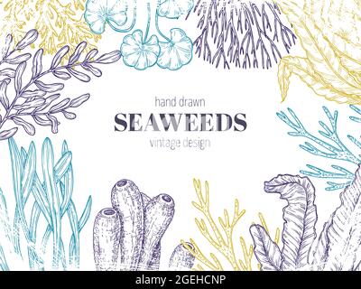 Seaweed background. Natural coral, seaweeds art sketching. Abstract graphic sea flora, ocean reefs plants algae branches exact vector concept Stock Vector