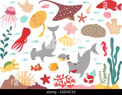 Cartoon marine life. Sea world animal, underwater fish plants objects. Ocean wild fauna shark turtle, flat aquarium decent vector characters Stock Vector