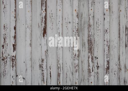 Texture of wooden surface painted in white with vertical stripes or slats, rusty rivets and cracked paint. Old weathered gate background Stock Photo