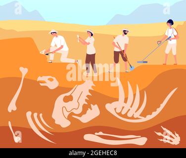 Paleontologist. Archeologist discovery, reptile fossil research. Woman shoveling, ancient dinosaur bones in ground utter vector illustration Stock Vector