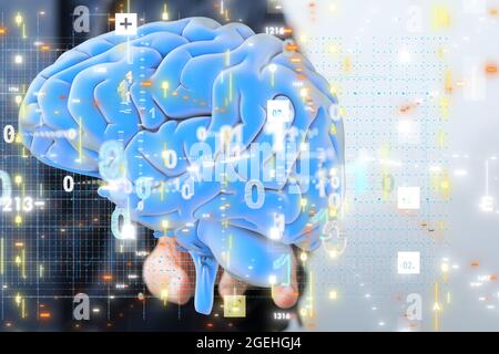 Digital human brain render with a connected network of binary code- artificial intelligence concept Stock Photo