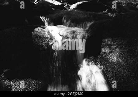 A small waterfall in a forest stream in the Berkshires of Massachusetts. The water is flowing over moss covered rocks. The photo is black and white. Stock Photo