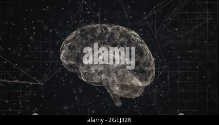 Digital image of human brain and dna structure spinning against network of connections Stock Photo
