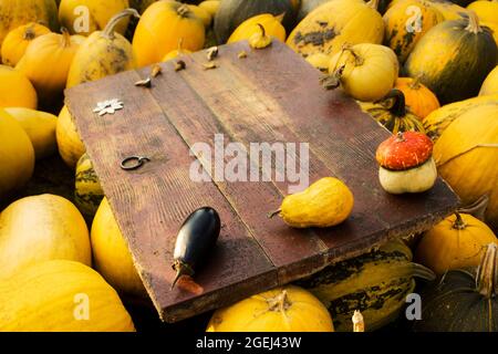 Mess autumn frame Composition and layout made of colorful pumpkins, mushrooms, Aged old retro red background. Yellow backdrop. Harvest festival thanks Stock Photo