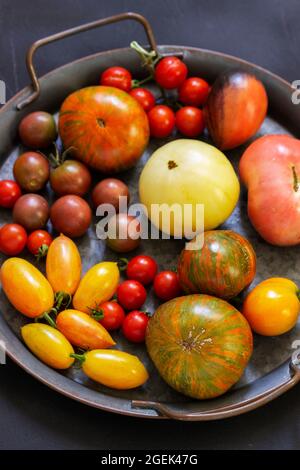 Tomatoes of different varieties and sizes on a dark background. Stock Photo