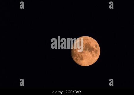 Haltern, NRW, Germany. 20th Aug, 2021. A red waxing gibbous moon can be seen rising behind a hedge in the clear sky above Haltern tonight. The full moon will peak in two days, on August 22nd, as a Blue ‘Sturgeon Moon'. Credit: Imageplotter/Alamy Live News Stock Photo