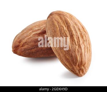 almonds macro isolated on white background, full depth of field Stock Photo