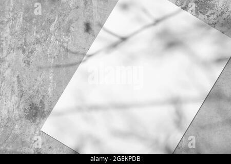 Empty white rectangle poster mockup with soft tree leaves shadow Stock Photo