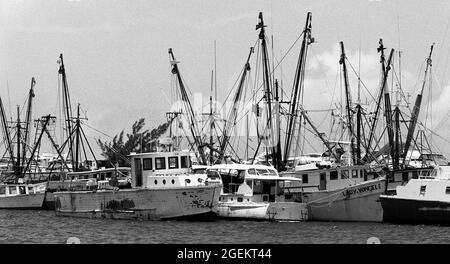 AJAXNETPHOTO. MAY, 1981. KEY WEST, FLA, USA. - IMPOUNDED MARIEL BOATS - SOME OF THE MORE THAN 1,400 BOATS USED IN THE CUBAN MARIEL BOAT-LIFT ESCAPING REFUGEE EXODUS BETWEEN APRIL AND OCTOBER 1980 FROM CUBA TO THE FLORIDA KEYS AFTER BEING IMPOUNDED BY U.S. COASTGUARD AND CUSTOMS IN THE HARBOUR AND STREWN ON THE WHARFS. THE BOATS BROUGHT APPROXIMATELY 125,000 FLEEING CUBANS TO THE USA.PHOTO:JONATHAN EASTLAND/AJAX REF:812805 17A 49 Stock Photo
