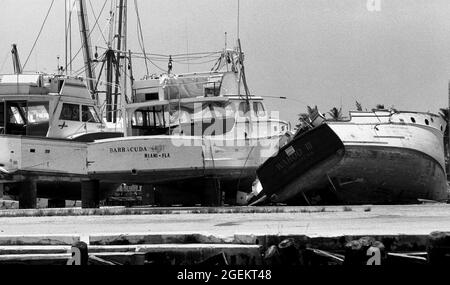 AJAXNETPHOTO. MAY, 1981. KEY WEST, FLA, USA. - IMPOUNDED MARIEL BOATS - SOME OF THE MORE THAN 1,400 BOATS USED IN THE CUBAN MARIEL BOAT-LIFT ESCAPING REFUGEE EXODUS BETWEEN APRIL AND OCTOBER 1980 FROM CUBA TO THE FLORIDA KEYS AFTER BEING IMPOUNDED BY U.S. COASTGUARD AND CUSTOMS STREWN ON THE WHARFS. THE BOATS BROUGHT APPROXIMATELY 125,000 FLEEING CUBANS TO THE USA.PHOTO:JONATHAN EASTLAND/AJAX REF:812805 23A 9 Stock Photo