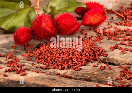 Natural red pigment from annatto seeds - Bixa orellana Stock Photo