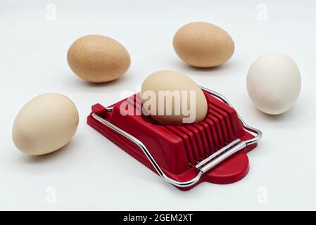 Household device for slicing eggs. Hard-boiled eggs slicer tool. Stock Photo