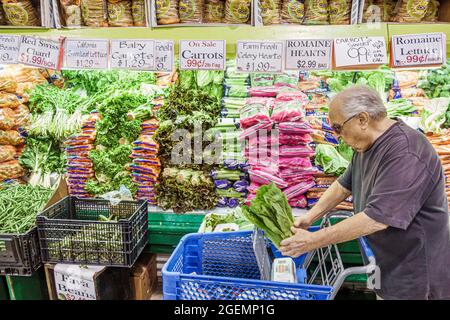 Florida Delray Beach The Boys Farmers Market,gourmet grocery store supermarket food display sale shopping shopper business,produce salad lettuce romai Stock Photo