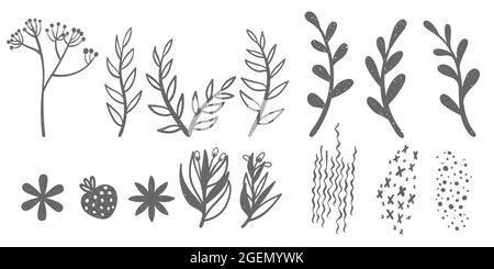 Set of hand drawn shapes and doodle floral design elements. Botany silhouettes and abstract shapes collection with scribble effect. Vector decorative Stock Vector