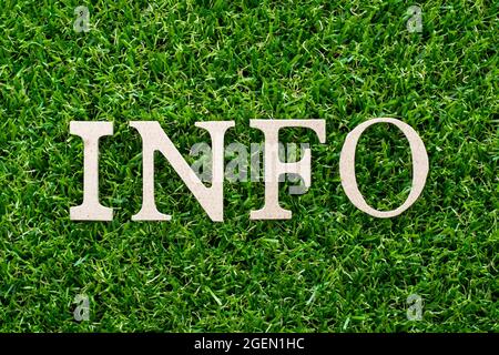 Wood letter in word info on artificial green grass background Stock Photo