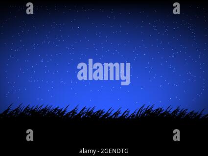 the sky and star and grass on the ground at night time graphics design vector illustration Stock Vector