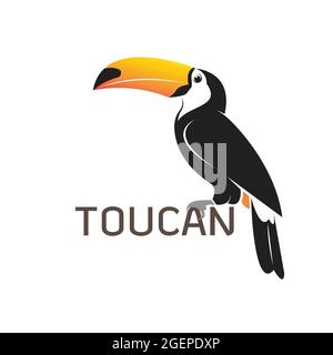 Vector of toucan birb design on white background. Wild Animals. Easy editable layered vector illustration. Stock Vector