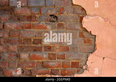 peeled off pink plaster on old red brick wall flat full frame background and texture. Stock Photo