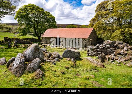Ruins of Emsworthy Farm, last occupied during World War I, and now part of Emsworthy Mire Nature Reserve, Dartmoor National Park, Devon, UK. Stock Photo