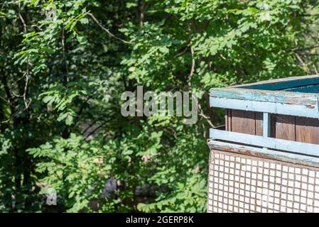 corner of an old balcony, lined with small ceramic tiles mosaic, against a background of green trees Stock Photo
