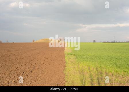 landscape climate change. The field is half green and plowed, against the backdrop of a cloudy sky Stock Photo