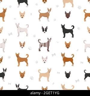Canaan dog seamless pattern. Different poses, coat colors set.  Vector illustration Stock Vector