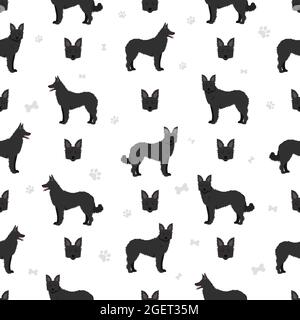 Croatian sheepdog seamless pattern. Different poses, coat colors set.  Vector illustration Stock Vector