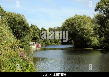 View of Medway river from tow path between Teston and Wateringbury, Maidstone, Kent, England, United Kingdom Stock Photo