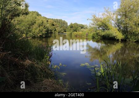 View of Medway river from tow path between Teston and Wateringbury, Maidstone, Kent, England, United Kingdom Stock Photo